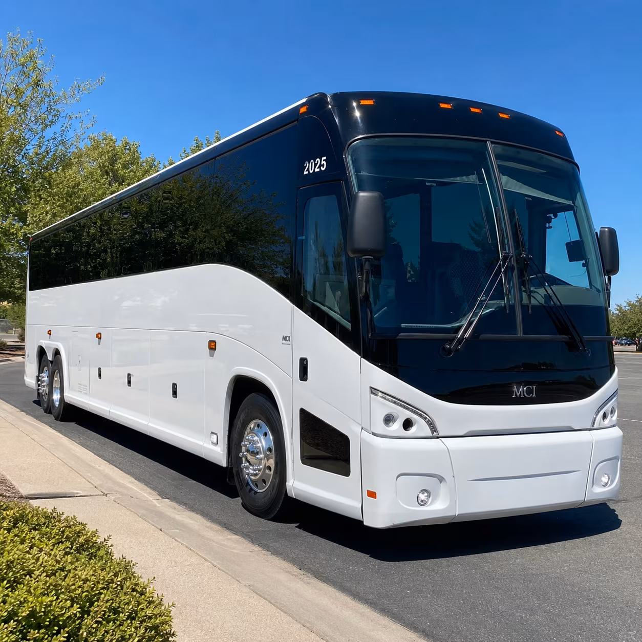 busrentalrockhill com makes bank of america stadium concert nights easy